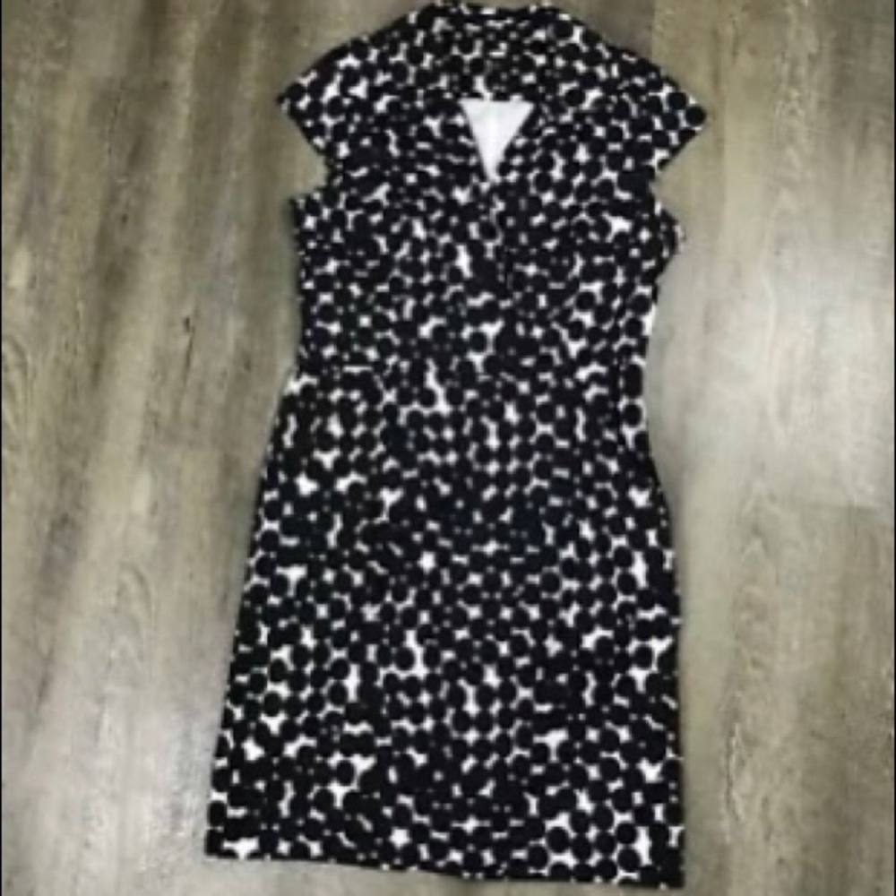 Anne Taylor Polka Dot Dress